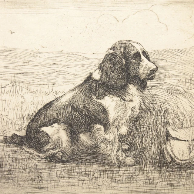 Art Deco etching Spaniel gun dog Christine McGregor signed antique vintage #3