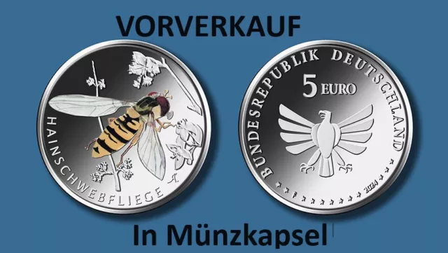 5 Euro 2024 Deutschland * Hainschwebfliege * in Münzkapsel * VORVERKAUF *