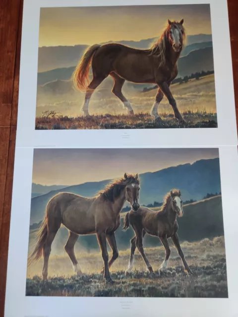 Set of Two Nice Horse Pictures - Limited Editions