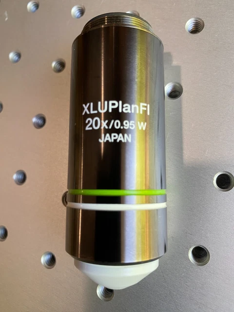 Olympus Plan Fluorite Water Dipping Objective  - XLUPlanFl  - 20x/0.95W Japan