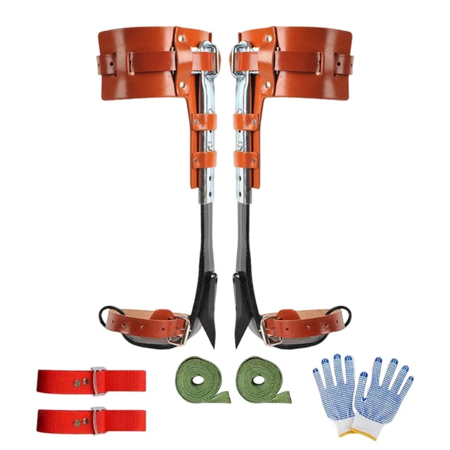 Pole Climbing Spikes with Belt Durable Steel Sturdy for Fruit Picking