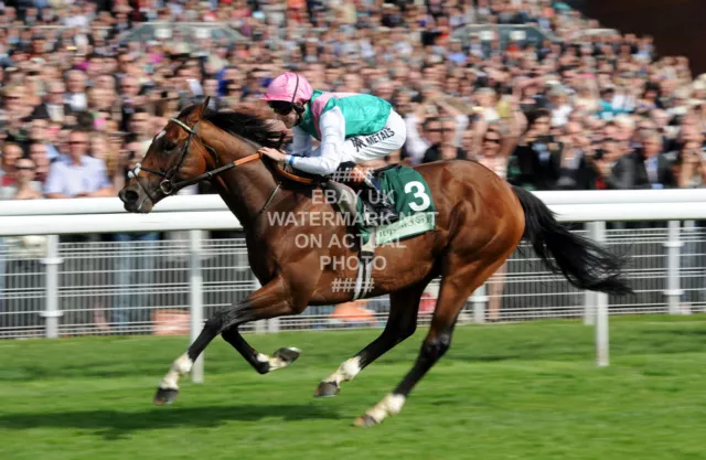 Frankel Tom Queally Photo Print Horse Racing 14 From 14   2