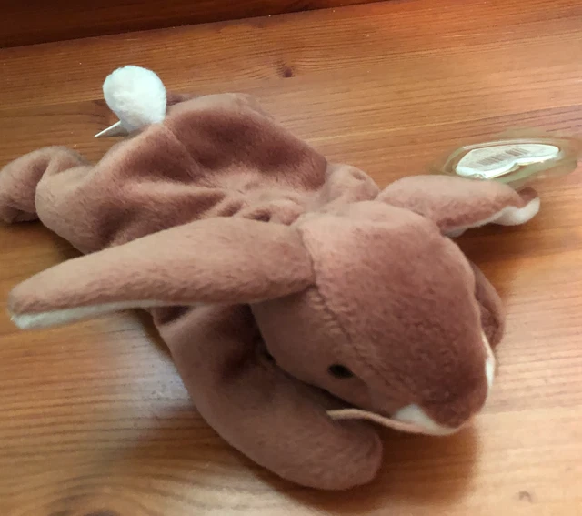 Ty Beanie Babies Ears The Rabbit  With Tags And Plastic Protector