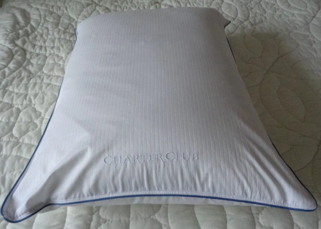 Charter club european white down pillow cheap