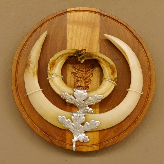 2 Sculptures Bois Décoratives 30x8.5cm - Style Européen Pour Meubles, Portes, Murs | Décoration Classique