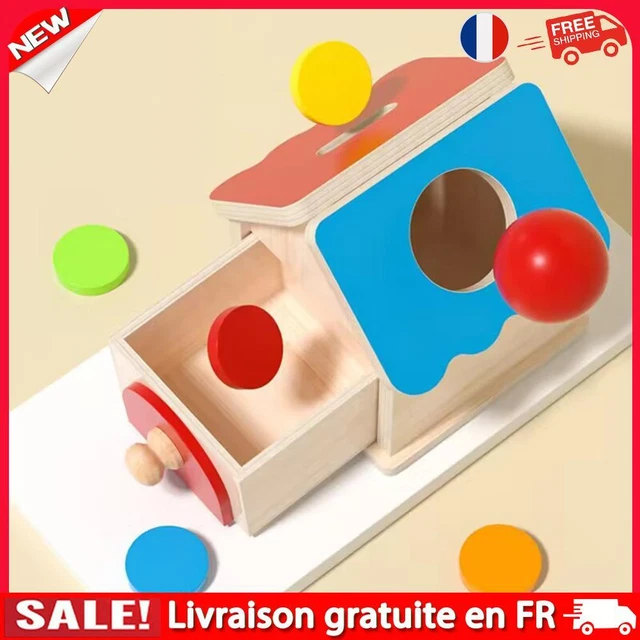 MONTESSORI TOYS WOODEN Shape Color Sorting Box Fine Motor Skills for ...