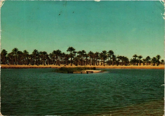 CPM AK Palmeraie au bord du lac MAROC (881154)
