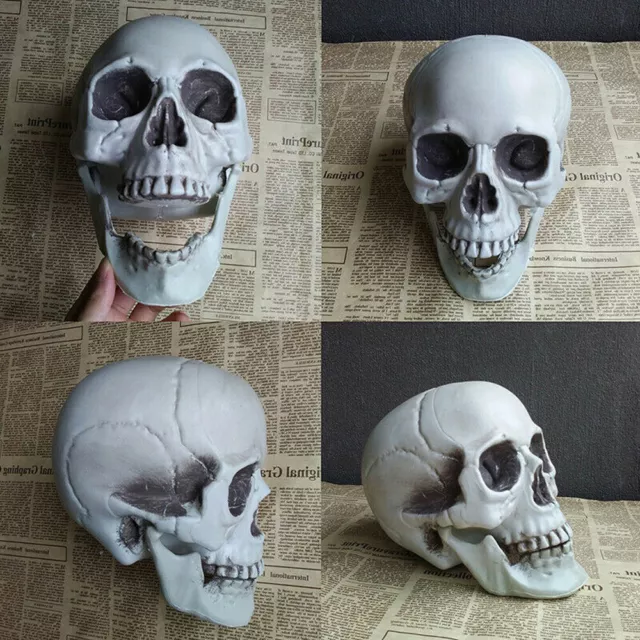 Halloween Artificial Skull Head Model Skull Bone Scary Horror Skeleton Ornament