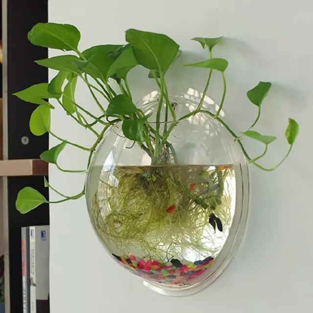 Wall Mounted Fish Bowl Aquarium Tank  Goldfish Plant Flower Home Art Decor 3