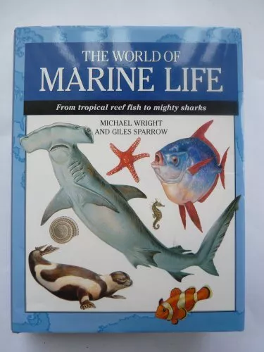 World of Marine Life: From Tropical Reef Fish to Mighty Sharks (