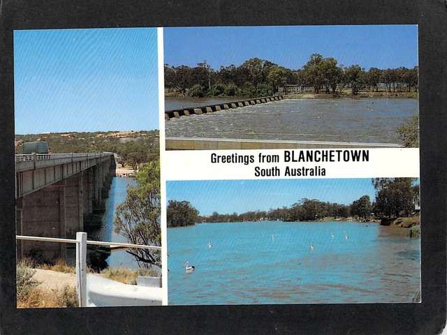 B5928 Australia SA Blanchetown River Murray Bridge postcard