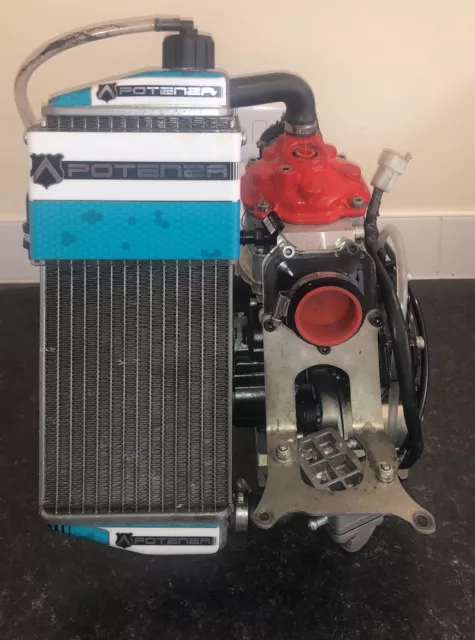 Rotax Max Evo Senior Engine