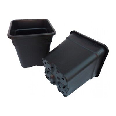 Atami Wilma 6 Litro Premium quadrato vaso con senza Piattino Vassoio coltura idroponica 