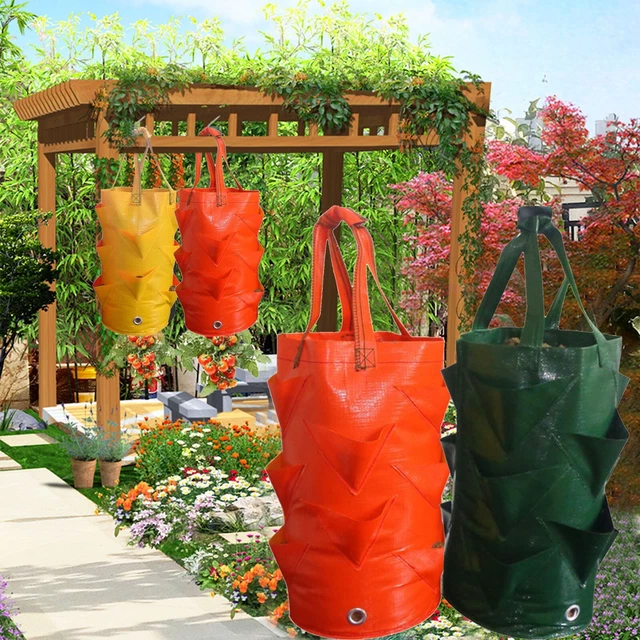 3 Gallon Strawberry Bag PE Strawberry Bag Color Bag Gardening Seedling Bag DIY