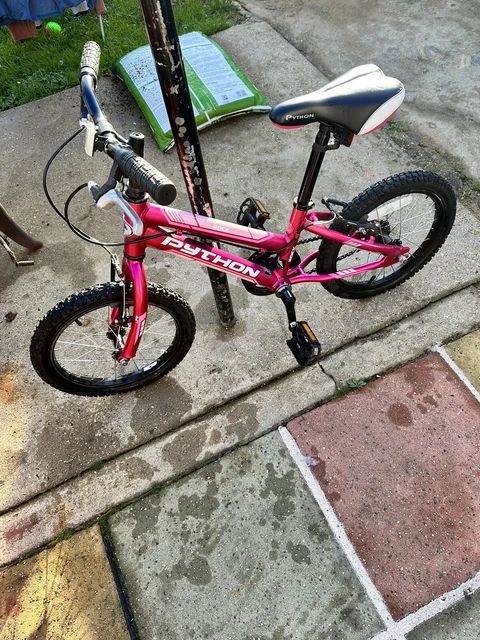 Python rock bike 2025 16