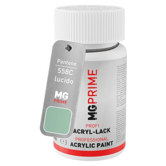 Pantone 558C Green lucido Stilo di ritocco da 50 ml ad asciugatura rapida