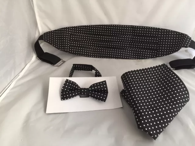 Page Boy-Boys Black With Polka Dots Polyester Bow tie + Cummerbund and Hanky Set