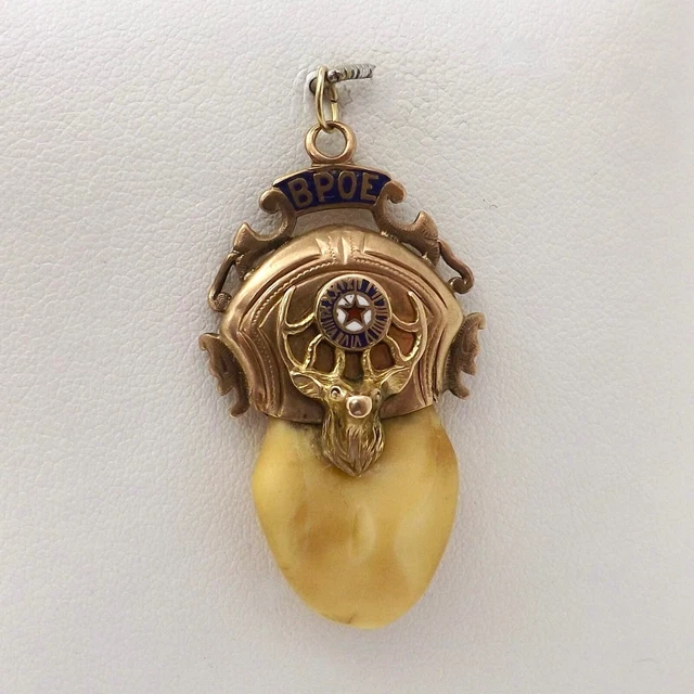 10k Gold Bpoe Elks Club Tooth Charm Pendant Fob Large Vintage 7gr
