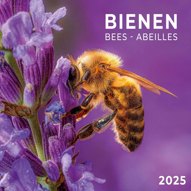 BIENEN 2025 | Kalender 2025 | Kalender | Artwork Edition | 28 S