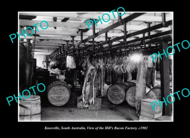 OLD LARGE HISTORIC PHOTO ADELAIDE SOUTH AUSTRALIA THE HILL BACON FACTORY c1900