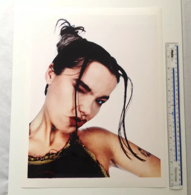 Bjork | C-type Print | 16 x 12 inch Colour Photograph | 1993 during 'Debut'