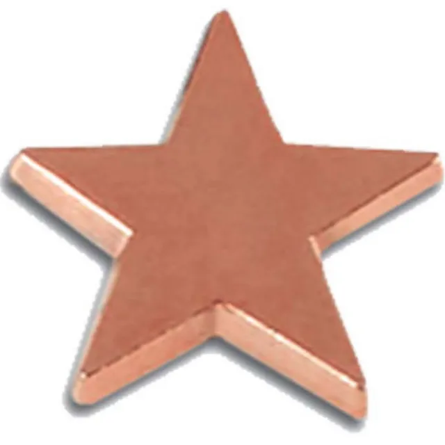 Schools Badge, Flat Bronze Star School Awards Badge Available In 3 Colours (GW)