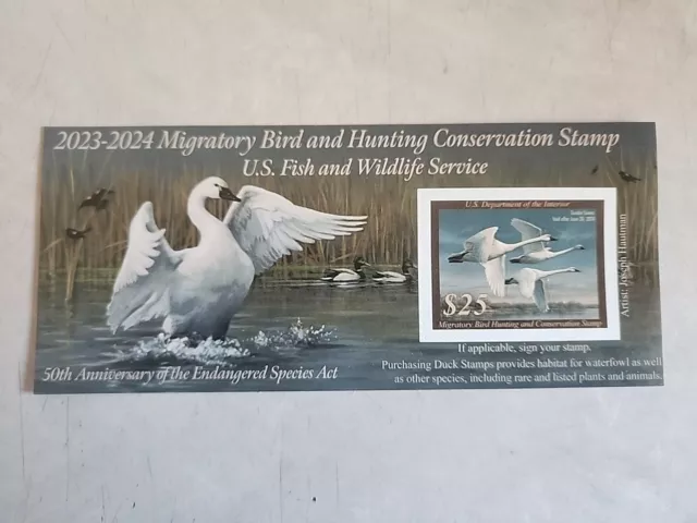 US Federal Duck Stamp 2023-2024 Tundra Swan - Joseph Hautman