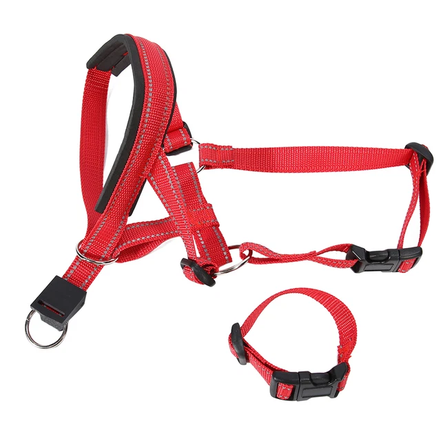 (L) Collare Testa Animale Muso Nylon Regolabile Imbottito Ponte Naso Traspirante Prevenzione
