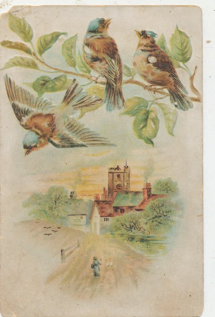 D2698  Victorian Trade Card Lion Coffee Meditation Bird Series
