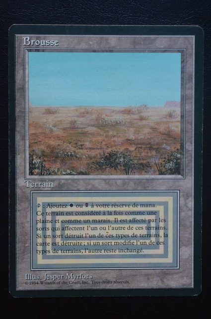 MAGIC THE GATHERING MTG SCRUBLAND FRENCH 3rd Edition Revised FBB