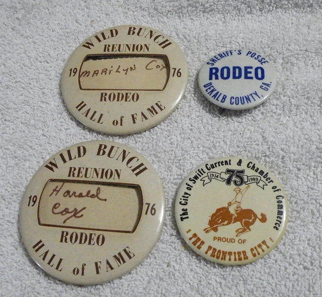 ( 4 ) Vintage RODEO Related Pins  Sheriff's Posse Georgia  Swift Current Canada
