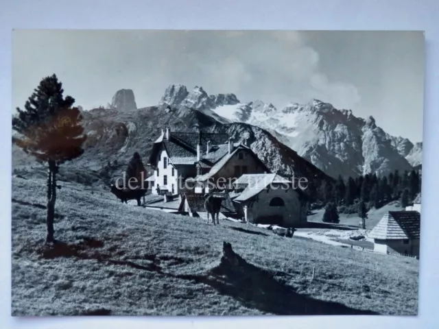 PRATO PIAZZA Albergo Gasthof Platzwiese Cristallo Bolzano vecchia cartolina