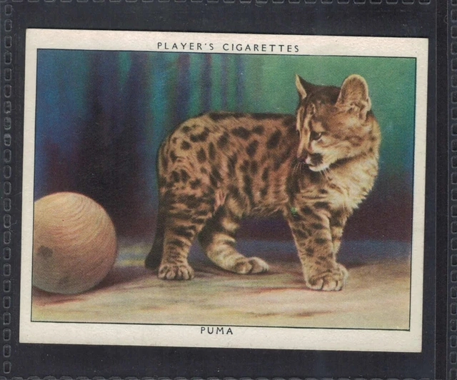 PUMA - 85 + year old English Tobacco Card # 19
