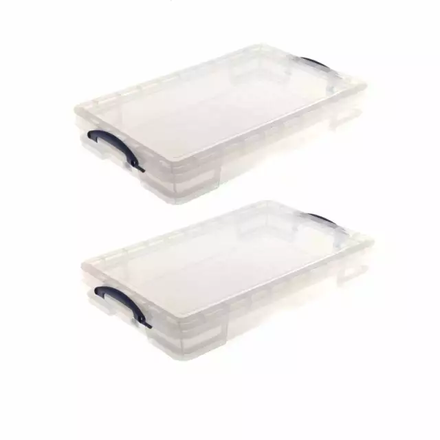 Caja realmente útil paquete de 2 litros