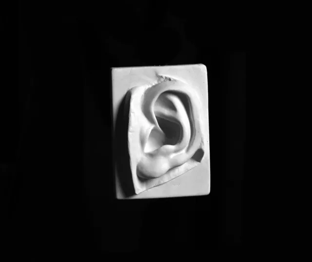 Michelangelo's David's Ear Plaster Wall Sculpture, Plaster Cast for Drawing