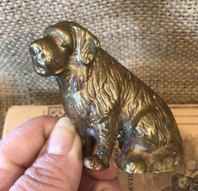 Brass Dog Saint Bernard solid India