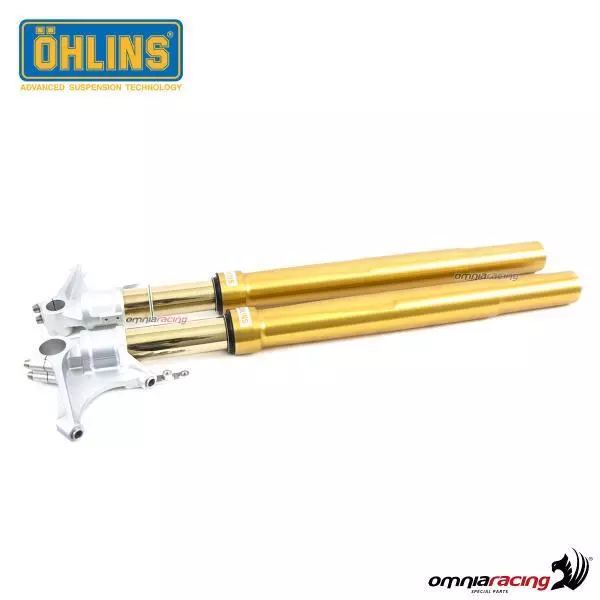 Fork FGRT200 Ohlins with cartridges 30mm gold for Honda CBR1000RR-R/SP 2020>
