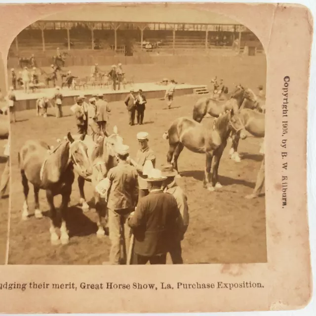 Louisiana Purchase Horse Show Stereoview c1905 St Louis Worlds Fair Judge C1551