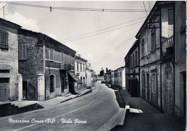  MERCATINO CONCA - PESARO - Viale ROMA - 1960