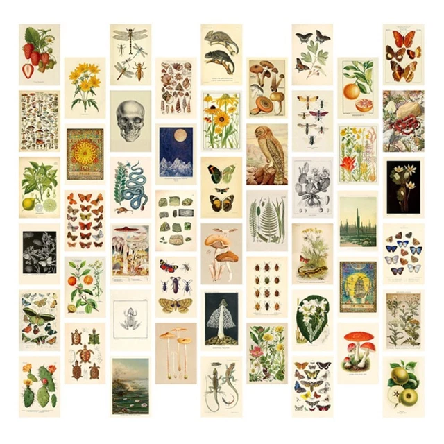 VINTAGE AESTHETIC WALL Collage Kit - 50 Botanical Collage Art PosU5 $15 ...