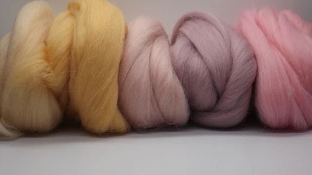 250G Lana Merino 5 Colores Rosegarden Lana de Cuento 5 X 50g Fieltro Spinnfaser