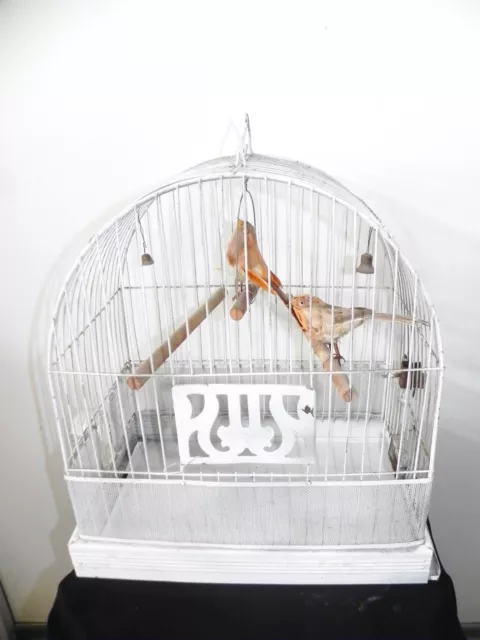 Antique Art Deco Metal Hendryx Bird Cage Glass Water Feeder & 2 Feather Birds