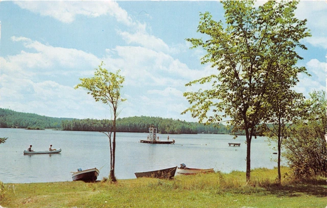 Crystal Falls-Iron River Michigan Be Wa Bic Park~Swim~Boat~Canoe Postcard 1963