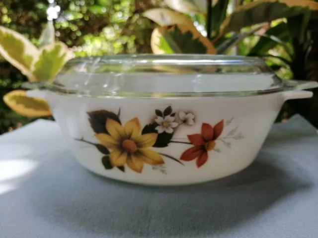 Vintage Jaj Pyrex Autmn Glory Lidded Casserole Dish Made In England.