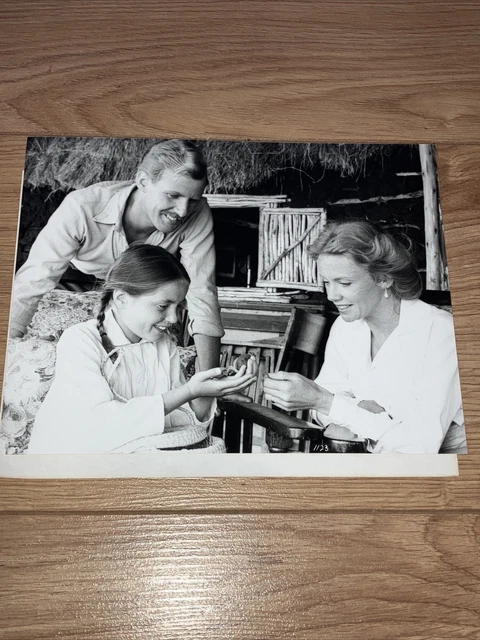 Hayley Mills, David Robb in The Flame Trees of Thicka -original 1981 press photo