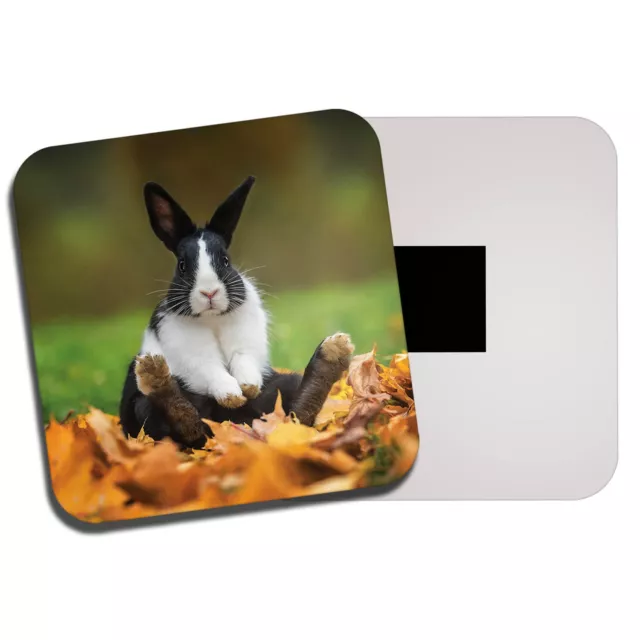 Black & White Rabbit Fridge Magnet - Bunny Cute Pet Animal Kids Cool Gift #8704