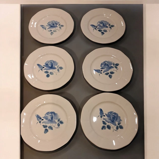 Lot de 6 Assiettes Plates Astra 28cm Champagne - Gamm vert