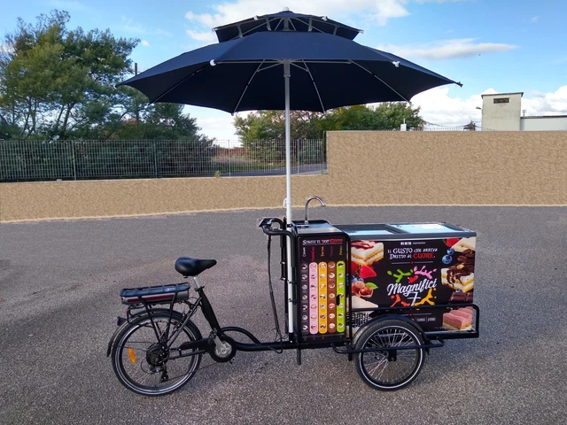 Bicicletta triciclo elettrica con frigo -20 / +15