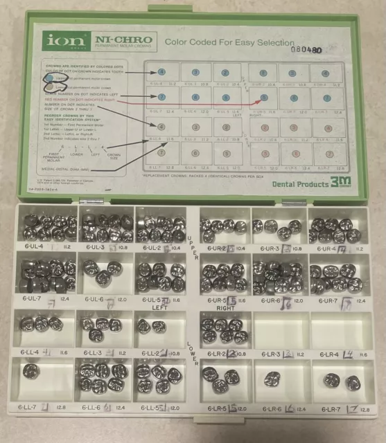 3M Ion Brand  Molar Permanent Dental Crowns Ni-Chro Stainless Steel