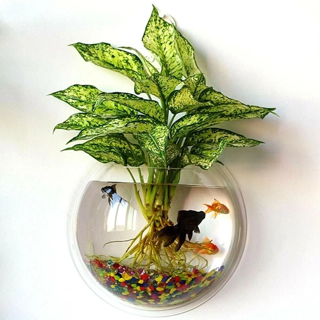 Fish Tank Bowl Mini Aquarium Wall Mount Indoor Fish Vase Mini Acrylic Fish Bowls